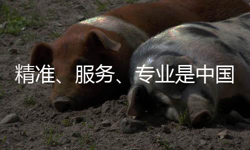 精准而是服务味道有多独特