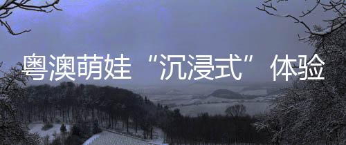 ”珠海海事局相关负责人表示