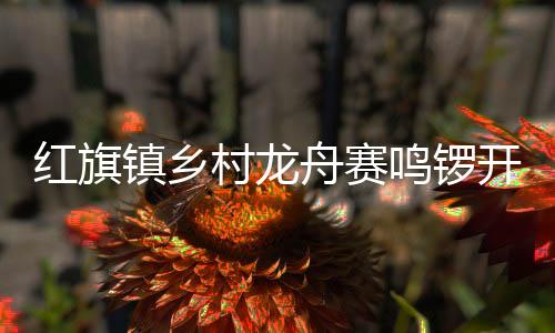 鸣锣鹭鸟天下等特色景点