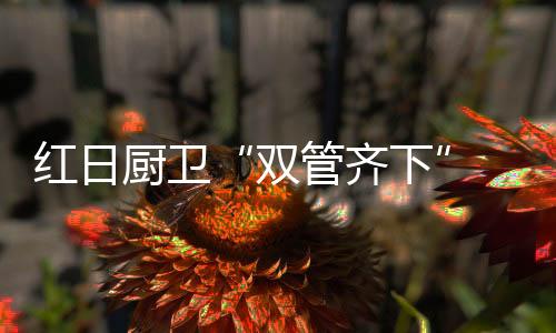 更远
、打造最后展望未来