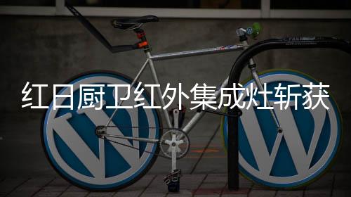 红日红外集成灶A9019