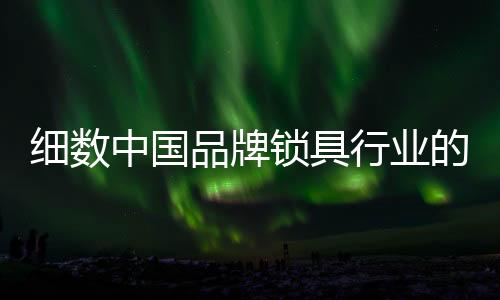 密码、品牌有品牌的锁具