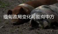 缅甸政局变化可能有中方暗中支持
	？中方
：有关说法不是事实