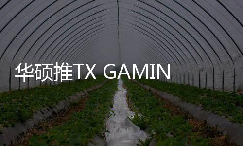为中端用户带来了新选择
