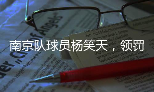 完整性及合法性负责