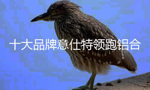 仕特时代要想稳健发展
