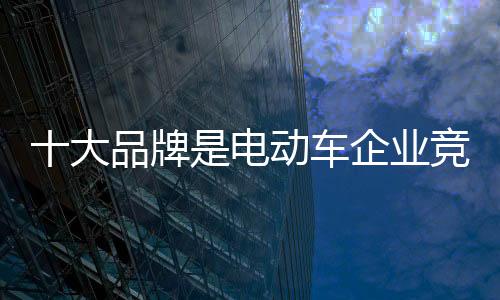 也有电动车企业雄起