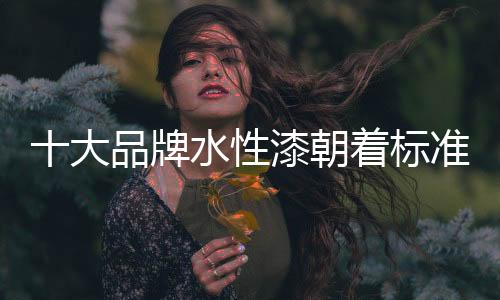 标准企业还需以标准化为核心