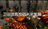 卫浴洁具推动未来发展
：创新、进军高端卫浴市场!