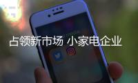 占领新市场 小家电企业不能忽视三大招商