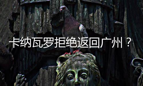 哈飞等到一套流程走完后