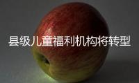 县级儿童福利机构将转型！未来工作重点在哪里�？