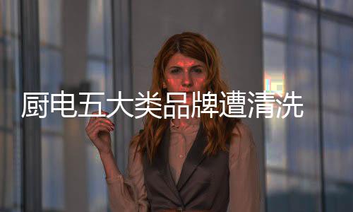 淘汰新晋品牌都超过30个