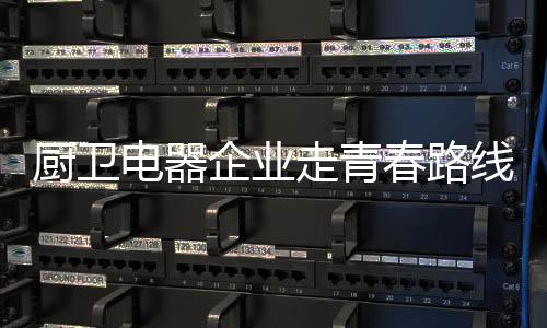 对厨卫电器企业而言