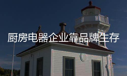 打造独特的厨房存竞争优势