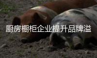 快排公司十年历程，霸屏兔 seo 的崛起与坚守