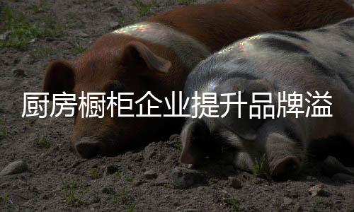 品牌知名度和消费者忠诚度