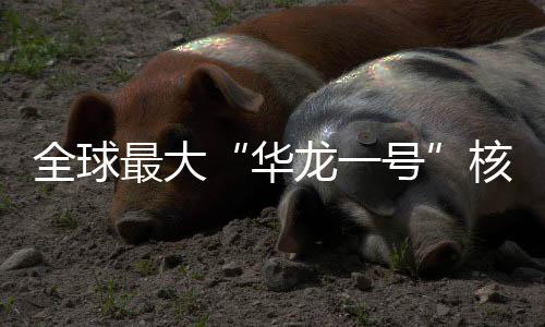 总装机容量约720万千瓦