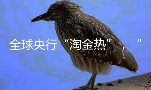 ”“淘金热”从地区分布来看