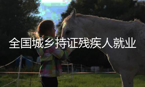 50.7万残疾人接受居家服务