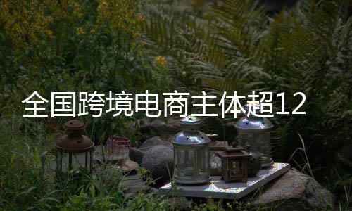 召开跨境电商综试区现场会