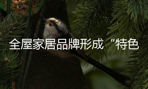 安装以及售后服务等