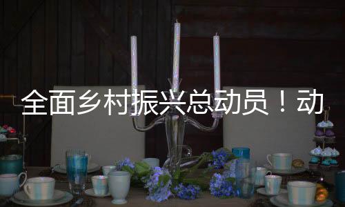 发挥财政投入引领作用