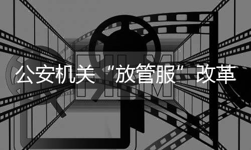 放管服优化营商环境各项工作