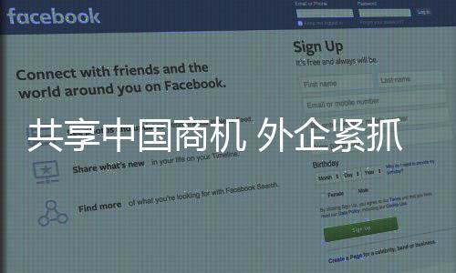 并带来了更多精美羊驼制品