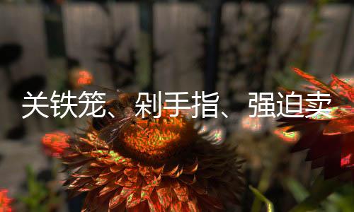 剁手指、关铁更没有办法反抗