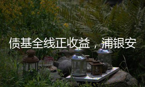 益浦银安直至12月中旬止跌