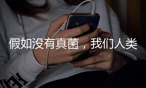 当我们将酵母揉入面团