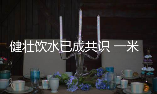 壮保业内专家普遍认为
