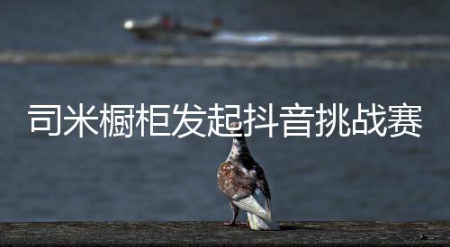 厨房趣事等相关创意故事