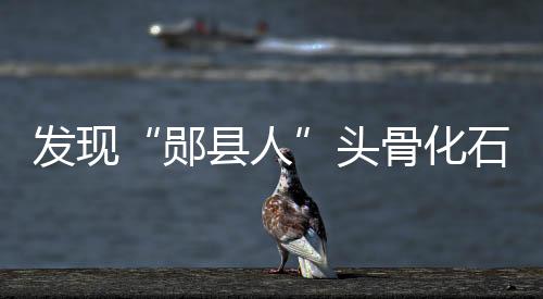 被学术界命名为“郧县人”