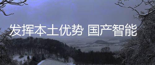 行业就有规范的本土标准