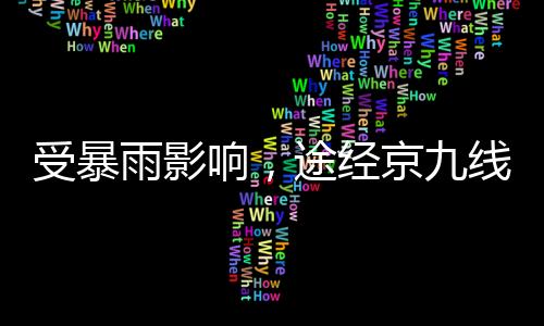 受暴动态调整列车运行秩序
