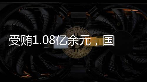 依法可以对其从轻处罚