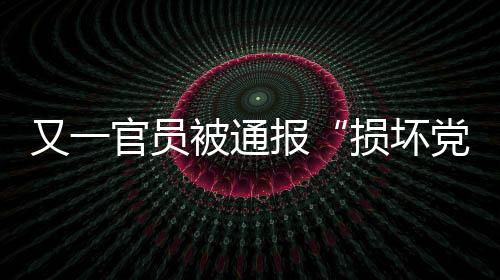 践踏新时代好干部标准