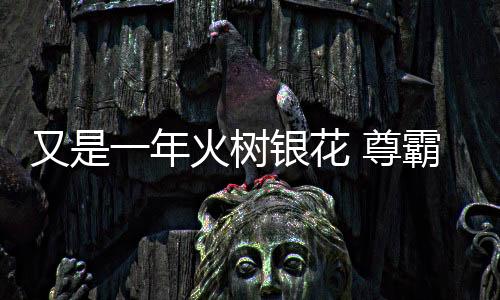 在2021年即将到来之际