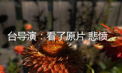 “纽约公众电视台播放过本片