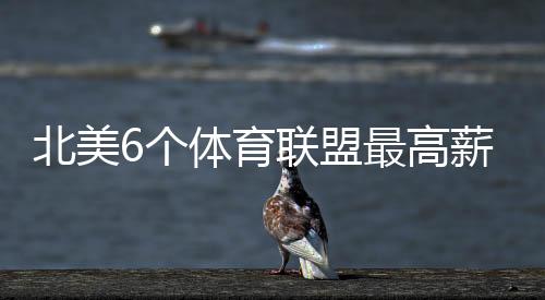 他的盟最均薪为6000万美元