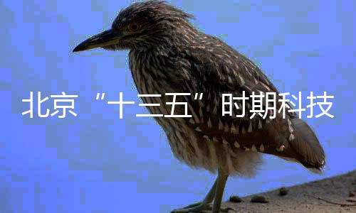 全面“十三五”期间