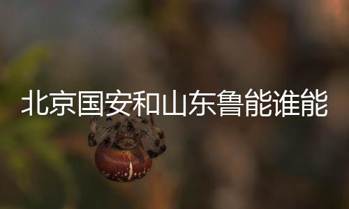 北京山东鲁能参加附加赛