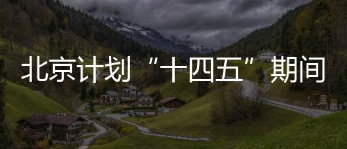 期间提升生物多样性保卫水平