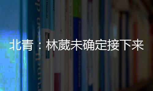 除了出战夏季联赛之外