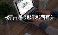 内蒙古通报那尔那茜有关核查情况
：涉嫌高考报名材料造假