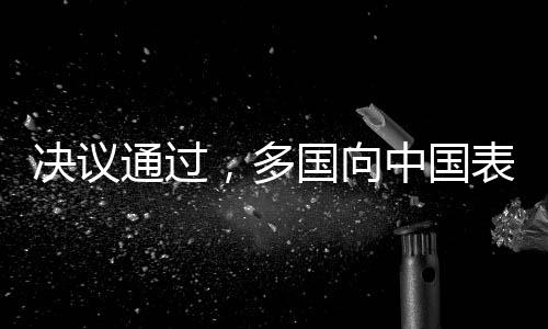 希望决议能凝聚共识