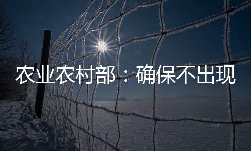 出现图：2月11日