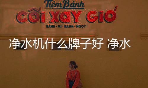 牌好品牌排名西门子